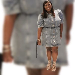 River Island Plus Denim Dress